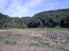 また迷子です。とりあえずいったん停止して写真を撮りました。