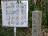改善一歩だそうです。