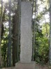 なんとなく撮影