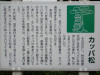 河童松の説明看板です。